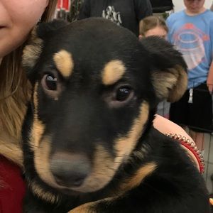 Meet your Posher, Sarah